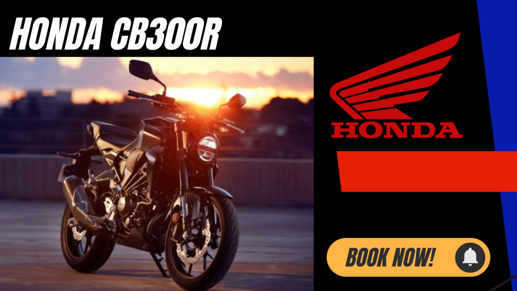 Honda CB300R Sport Bike Rental