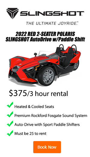 2 Seat Slingshot with Paddle Shifters