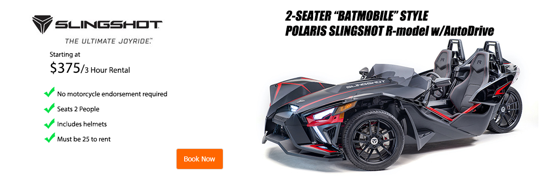 2 Seater Batmobile Slingshot