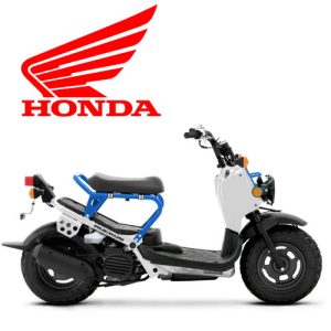 2022 Honda Ruckus